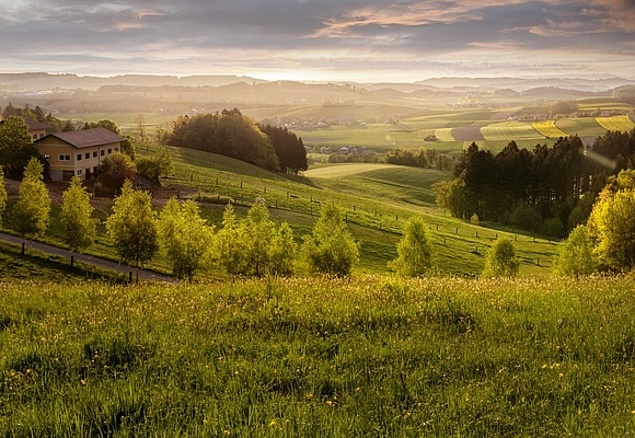 grüne Hügellandschaft mit Himmel und Wolken im Hintergrund © S’Innviertel Tourismus / Kernmayer