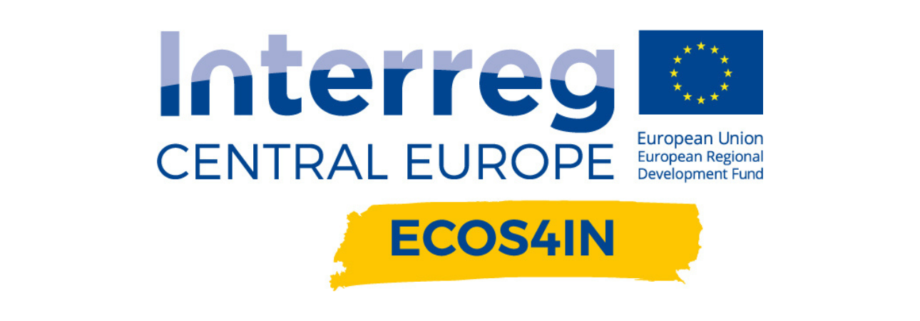 Logo Interreg Central Europe InnoPeer AVM